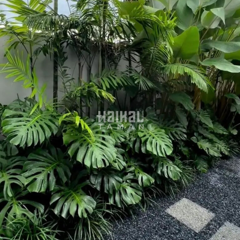 Tukang Taman Bintaro