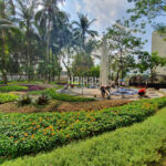 Tukang Taman Bekasi